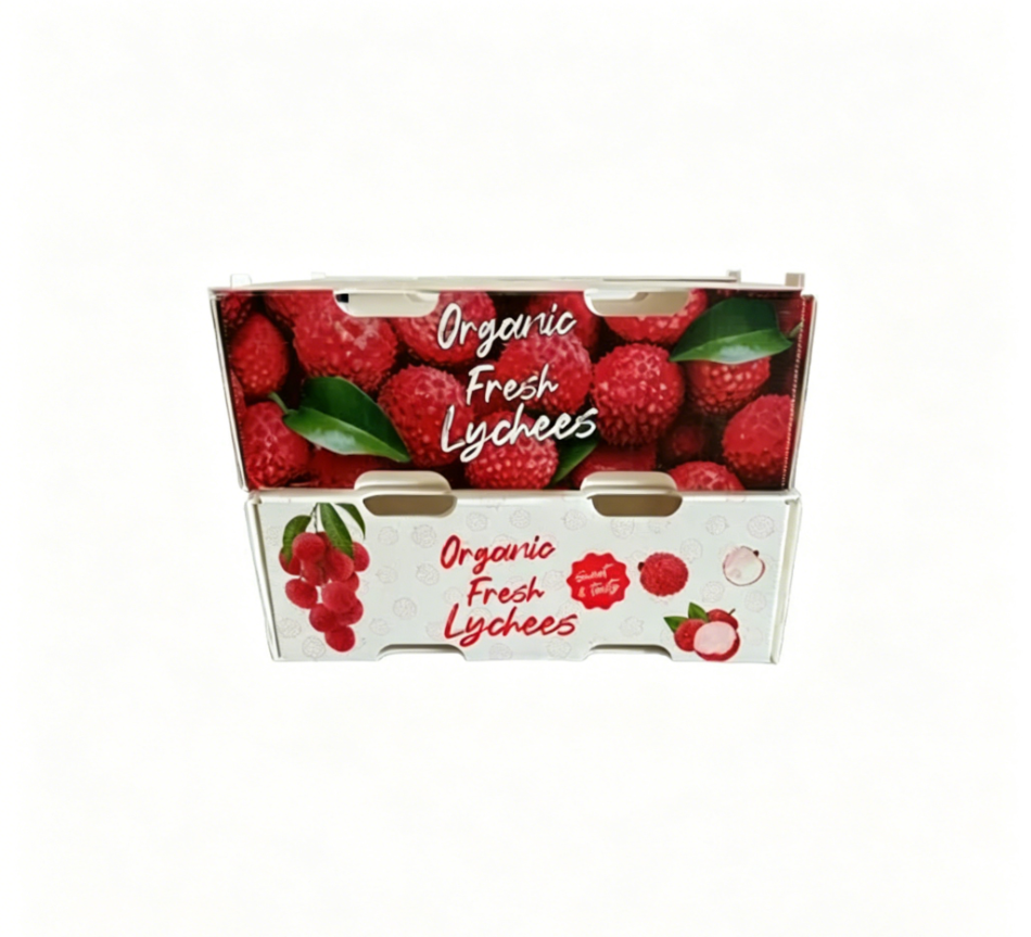 PP Corrugated Plastic Box for Agriculture Packing Box and Seafood Packing Box