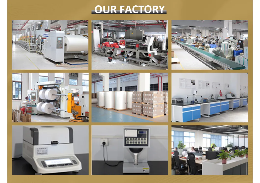 Factory Internal View
