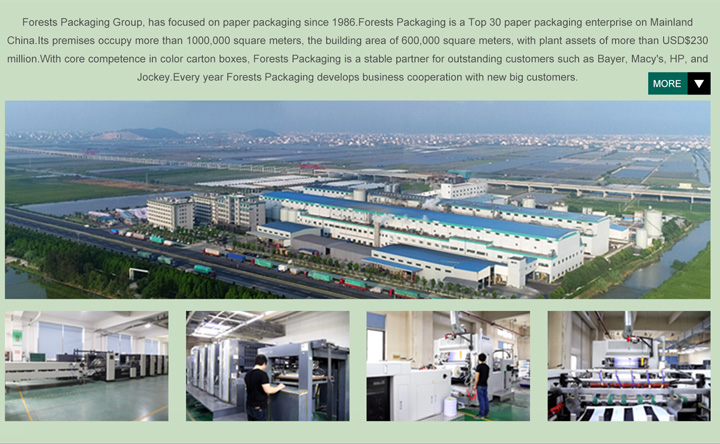 Company Operations Detail