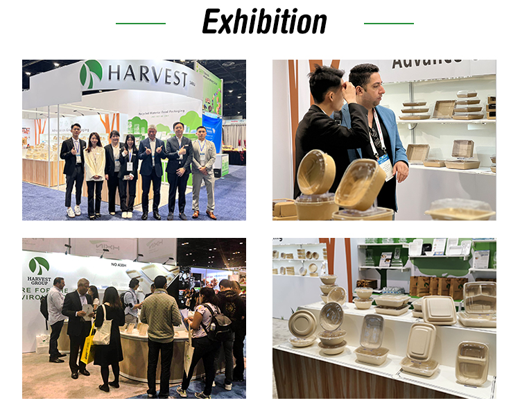 Gallery Showcase 7