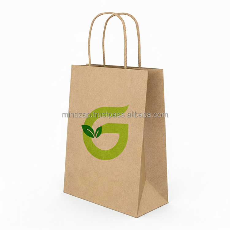 Eco-Friendly Paper Bag Style 2