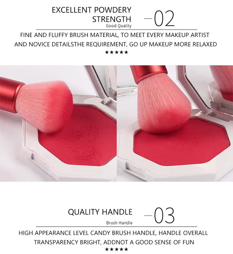 Makeup Brush Set 5