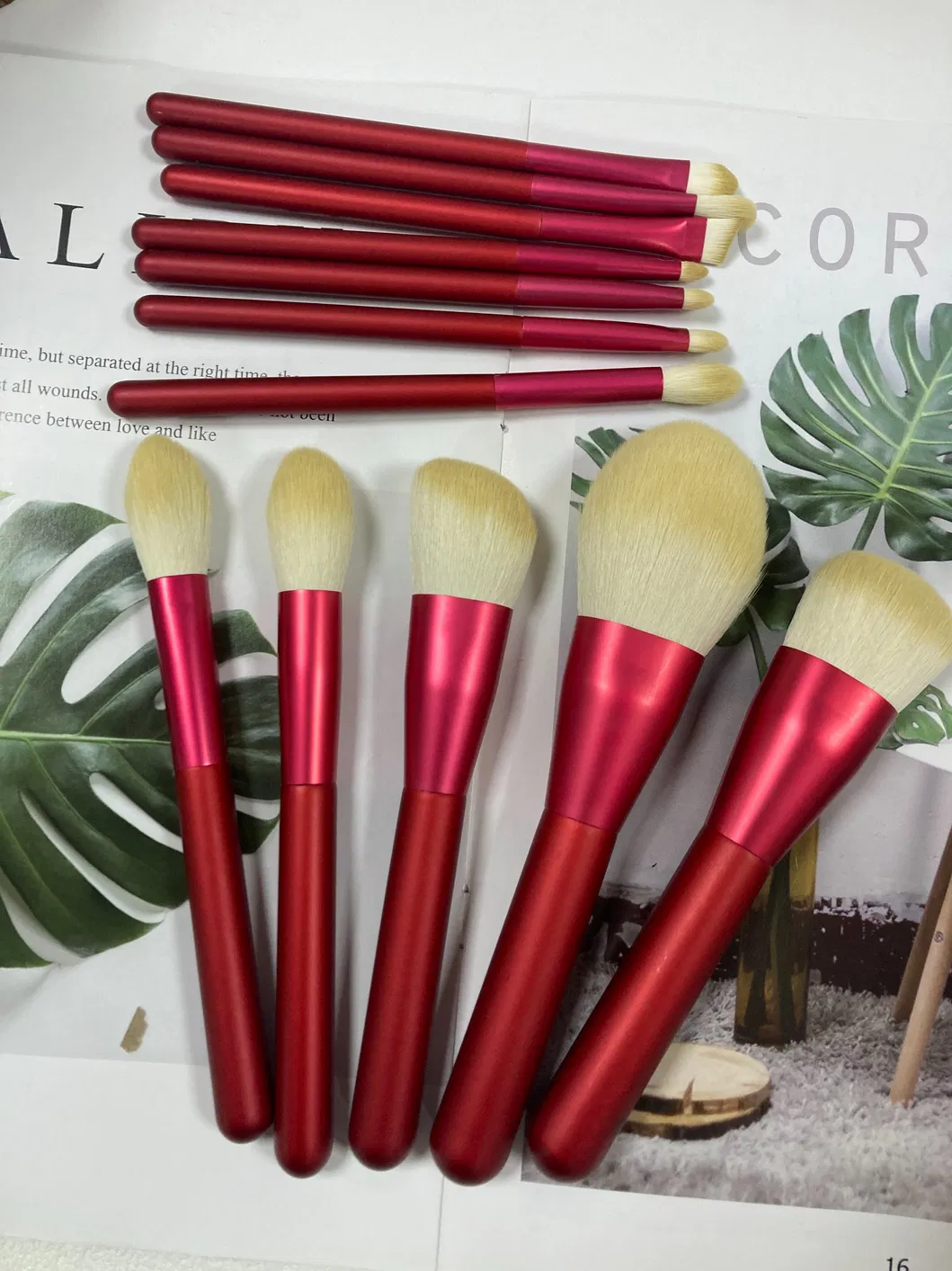 Ruby Makeup Brush Set 3