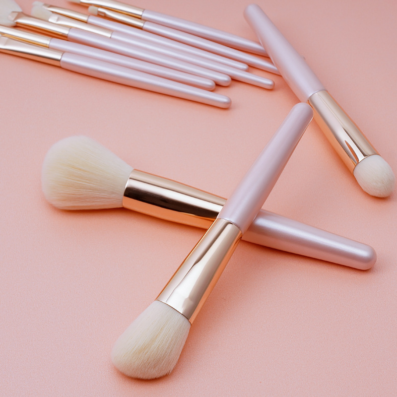 Makeup Brushes Wholesale 10PCS Cosmetic Brushes Set Cosmetic Blender with Fan Brush