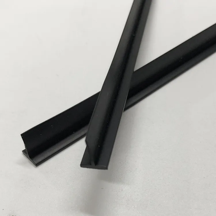 Vacuum Brush Lip Detail 1