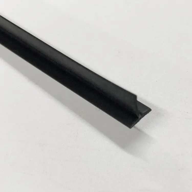 Vacuum Brush Lip Detail 2