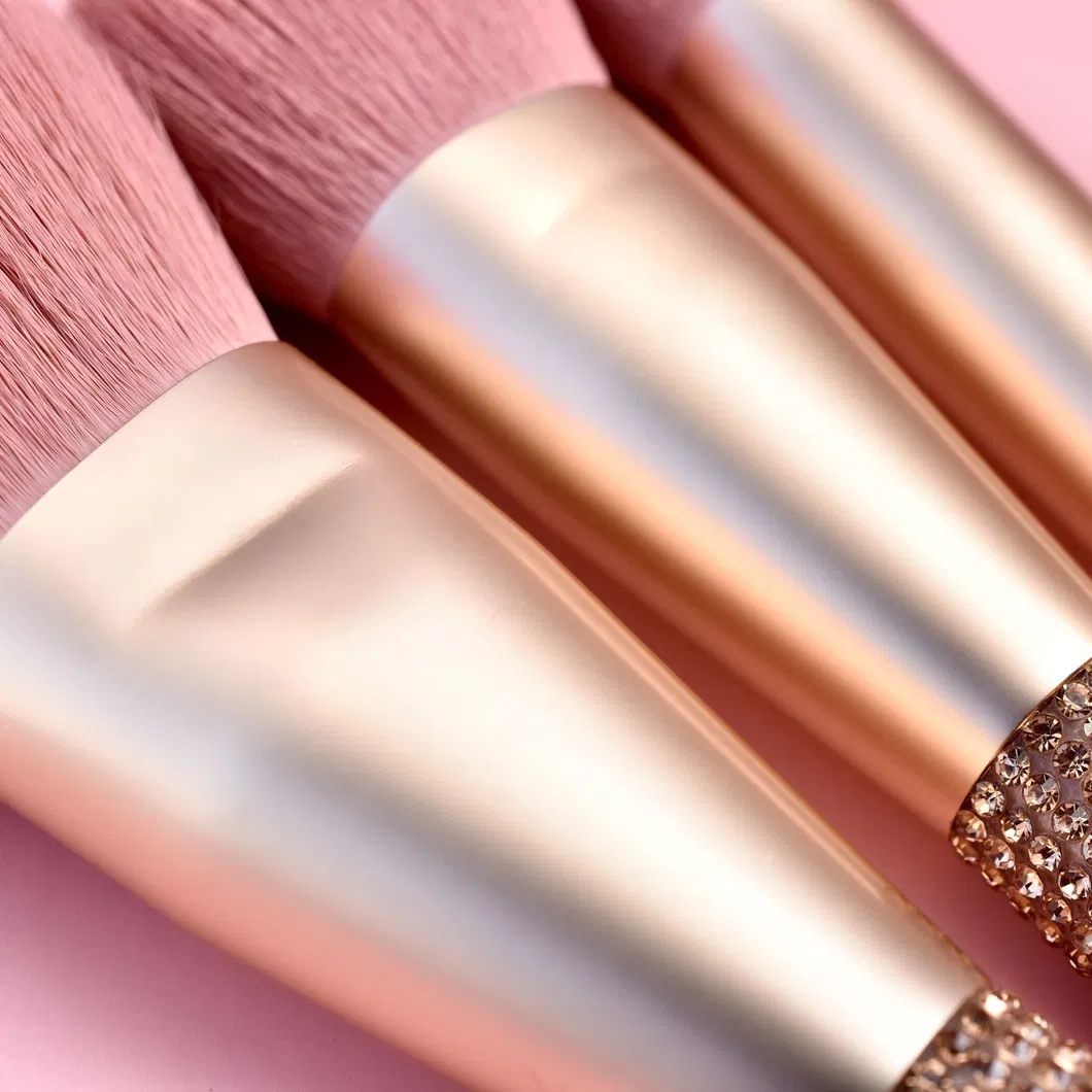 Makeup Brush Set Detail