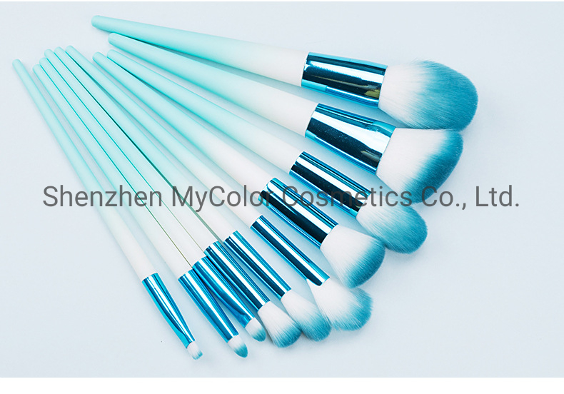 Private Logo OEM Customized Cosmetic Brushes 10PCS Face Eye Lip Makeup Brush Set