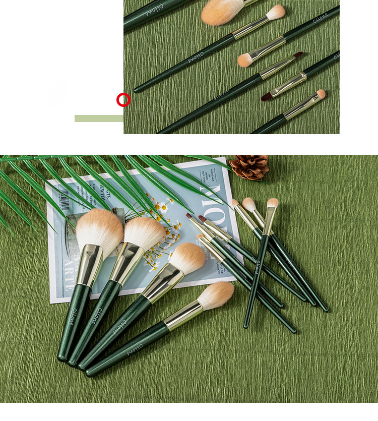 Beautichen 10PCS Avocado Green Wood Handle Makeup Brush Set - Plush Eyeshadow/Loose Powder/Foundation/Blush/Contour Brushes Cosmetic Essentials
