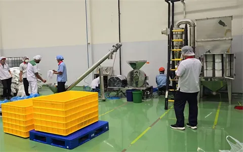Soporte técnico