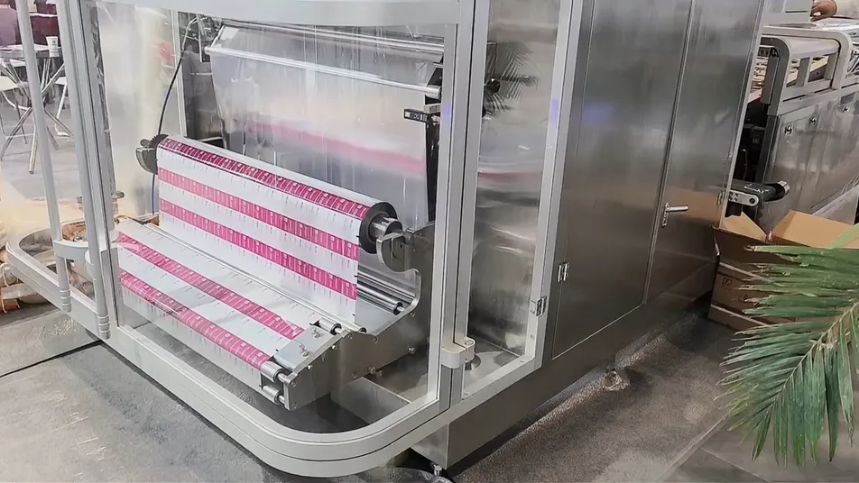 Detalle de Línea de producción de empaquetado 1