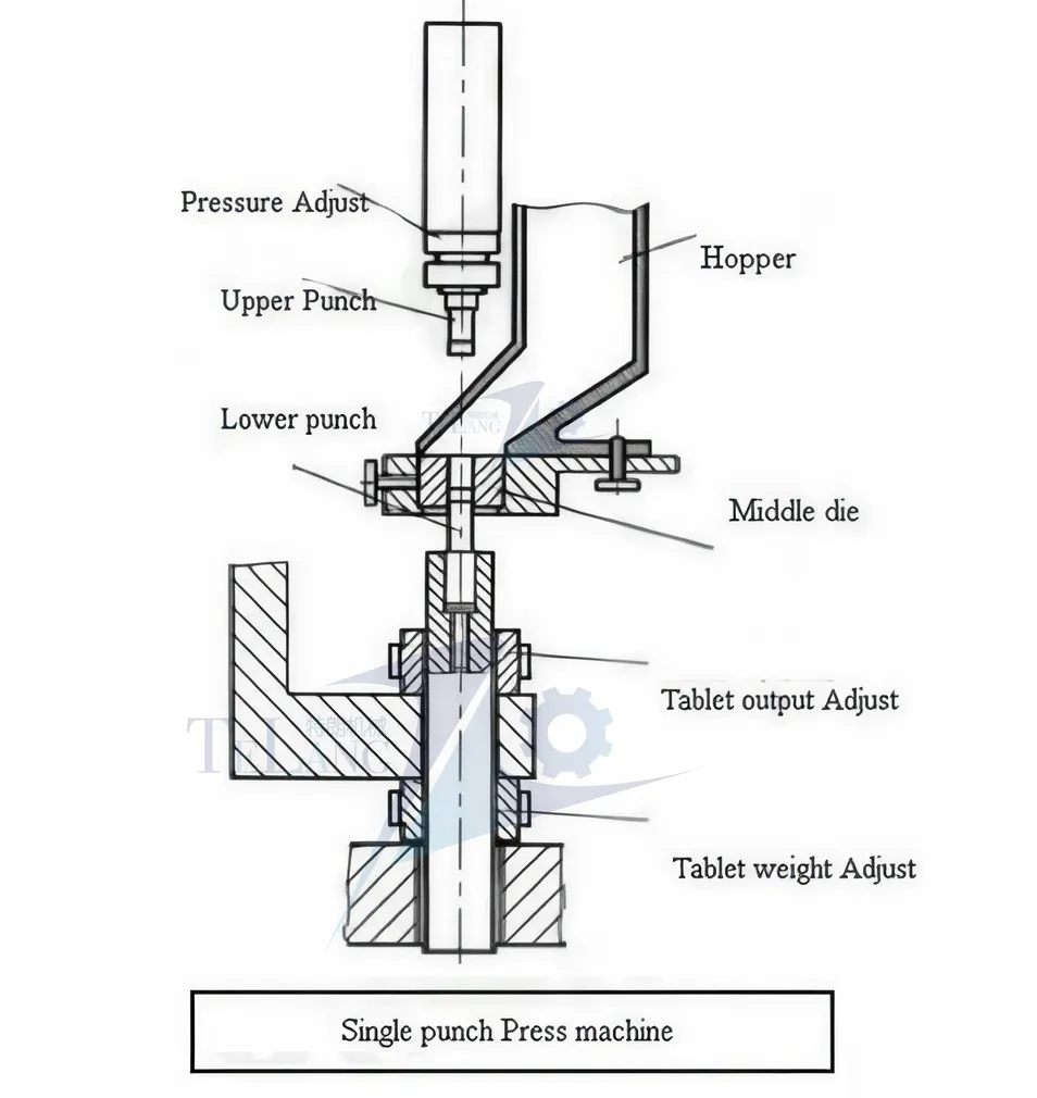 Estructura TDP