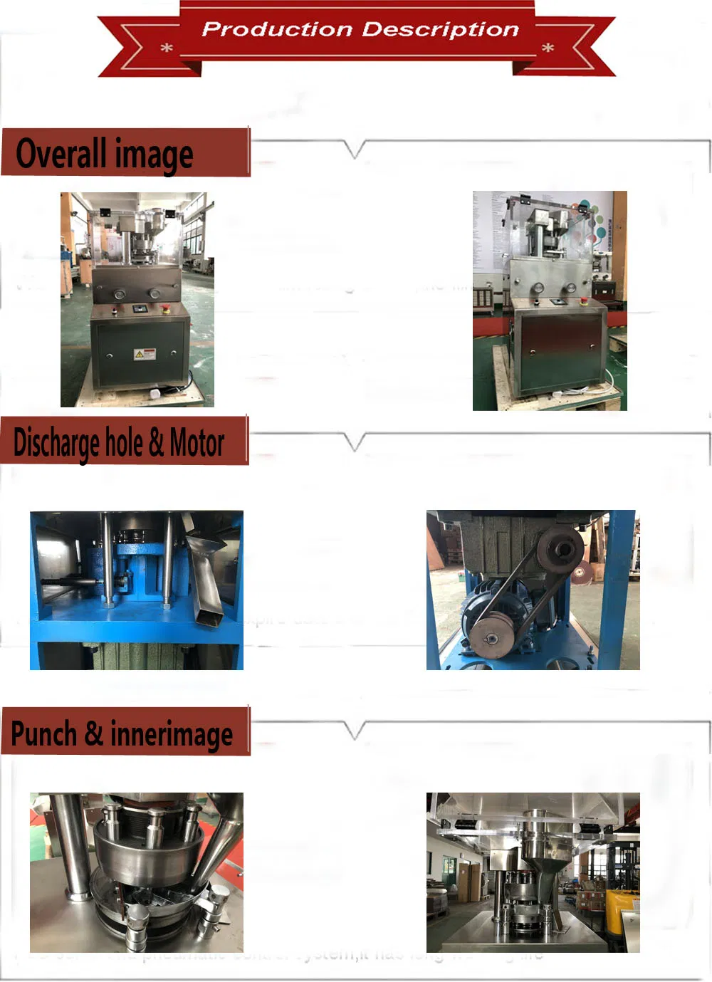 Prensa de tabletas ZP-5A