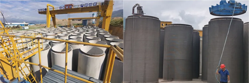 Customization Display