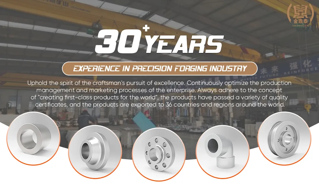 Alloy Steel Forged Tube