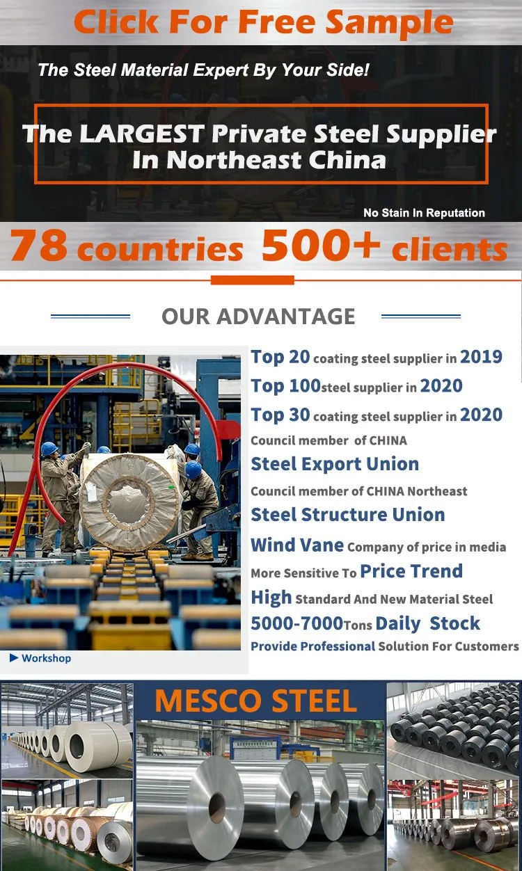 Company Profile View