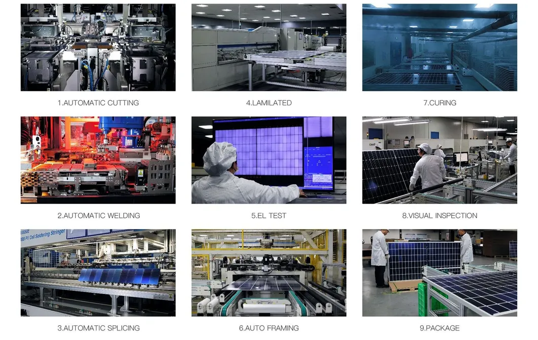 Production Process