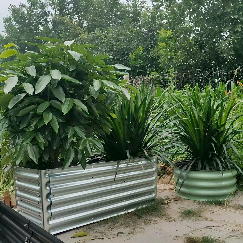 سرير حديقة مرتفع مجلفن، صندوق زراعة خارجي، 5FT*2FT*17in صندوق زراعة معدني بيضاوي مستطيل مربع دائري للزراعة والزرع