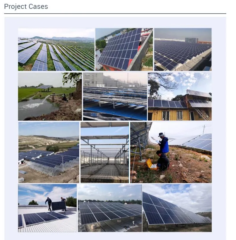 Project Case Study