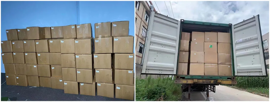 Conjunto de Anéis de Borracha para Reparos Profissionais Caixa de Kit de O-Rings