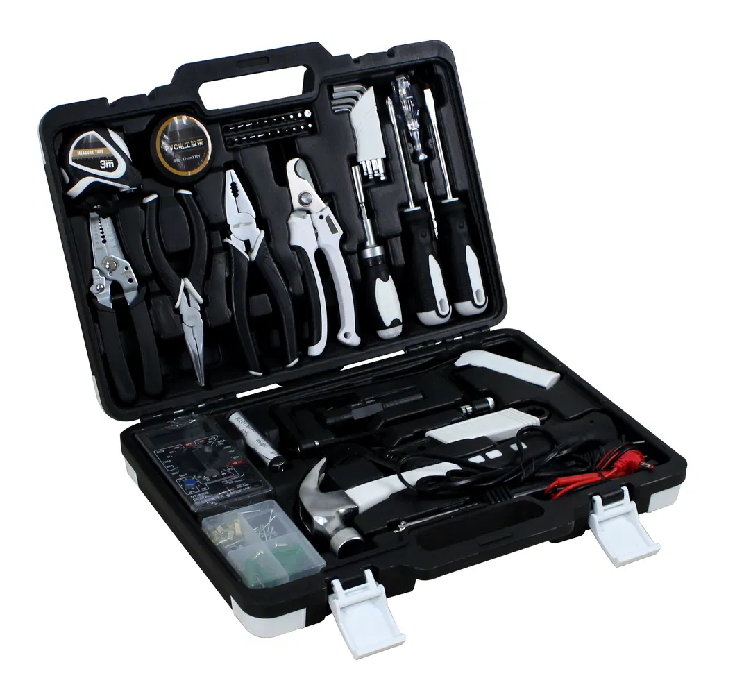21PCS Conjunto de Ferramentas Mecânicas Profissionais (WW-TS21)