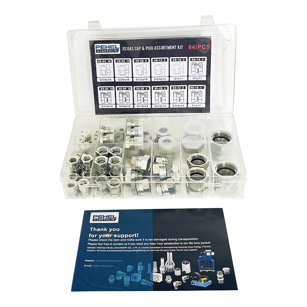 Kit de Plugue e Tampa Jic Hidráulico 64PCS para Ferramentas de Reparação de Mangueiras ISO9001