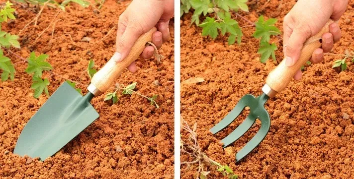 Detalhes das Ferramentas de Jardinagem
