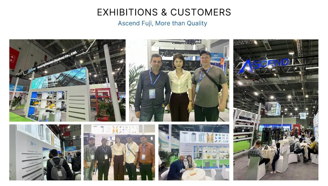 Exposições & Clientes