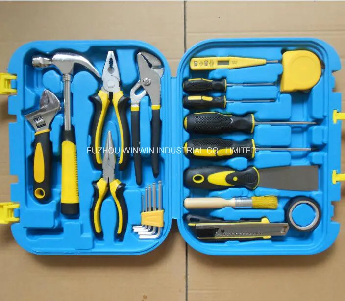 21PCS Conjunto de Ferramentas Mecânicas Profissionais (WW-TS21)