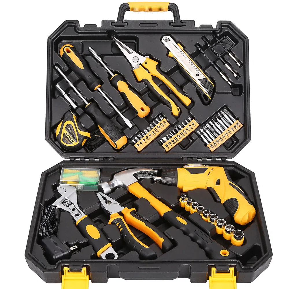 21PCS Conjunto de Ferramentas Mecânicas Profissionais (WW-TS21)