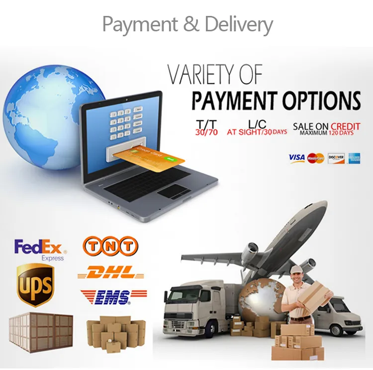 Kit de Ferramentas de Manutenção Premium Essencial para Usuários do Cobas C311