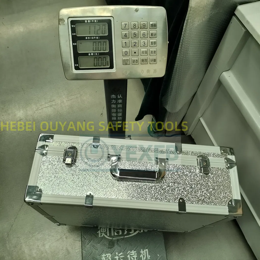 1000V Kit de Ferramentas Isoladas Elétricas para Inspeção, Manutenção e Montagem de Veículos Elétricos/Híbridos, Certificado VDE