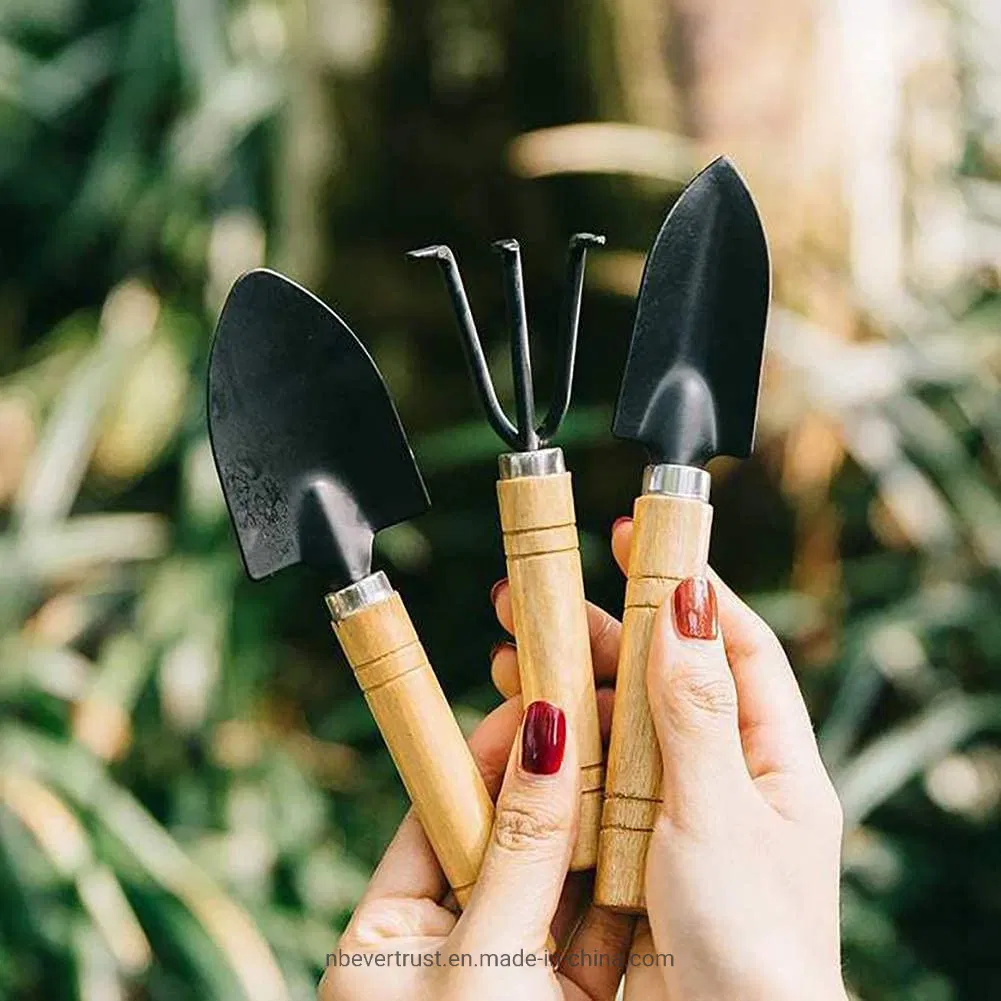 Conjunto de Jardim para Casa Vendendo Bem 3 Peças Mini Conjunto de Ferramentas de Jardim para Suculentas Conjunto de Ferramentas Manuais de Metal para Agricultura Doméstica