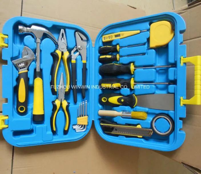 21PCS Conjunto de Ferramentas Mecânicas Profissionais (WW-TS21)