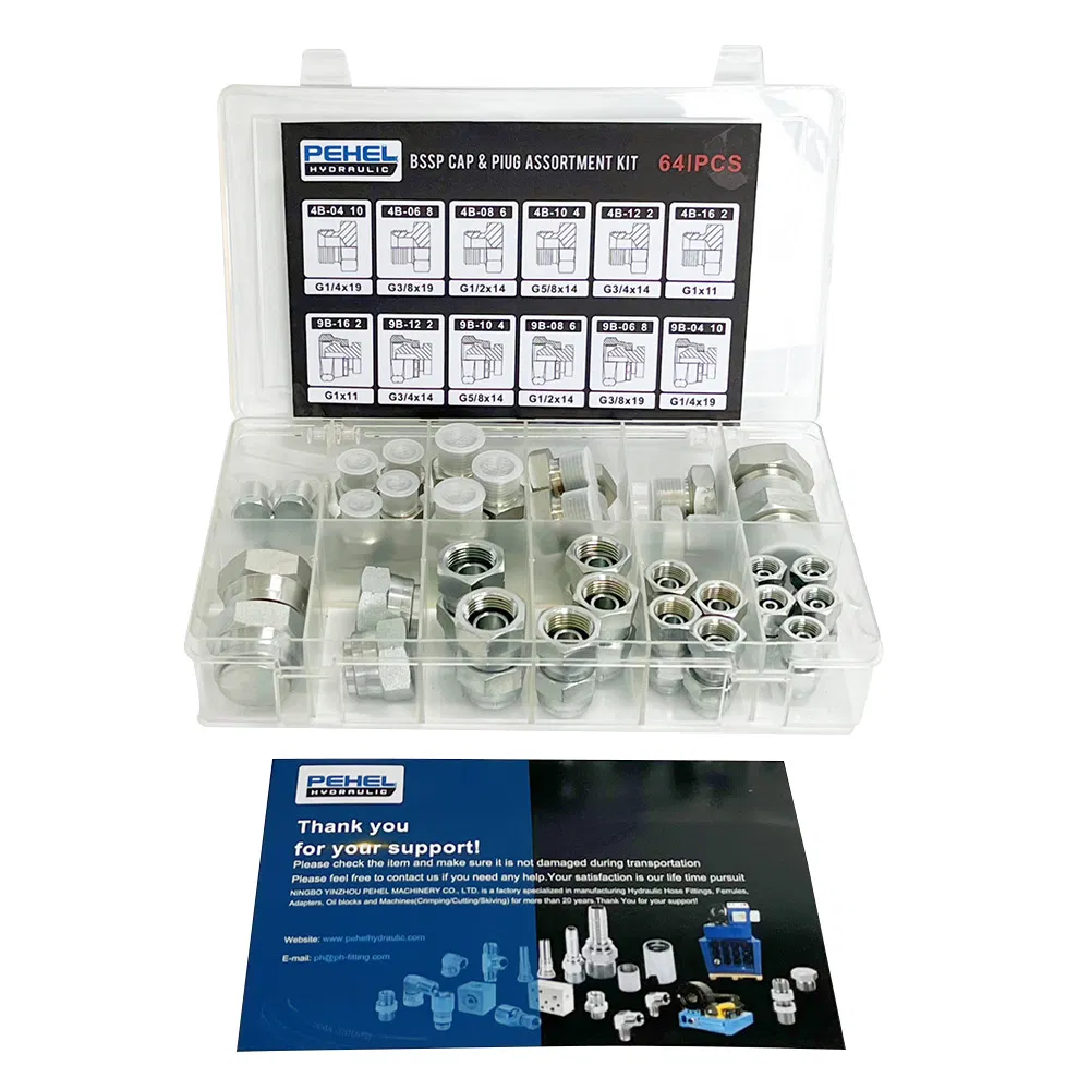 Kit de Plugue e Tampa Jic Hidráulico 64PCS para Ferramentas de Reparação de Mangueiras ISO9001