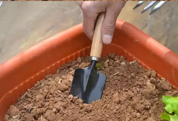 Conjunto Completo de Jardinagem