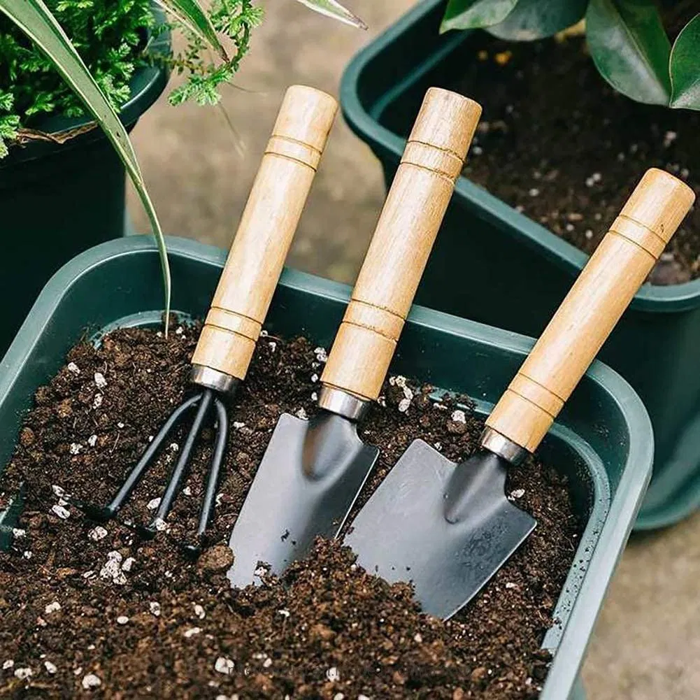 Conjunto de Jardim para Casa Vendendo Bem 3 Peças Mini Conjunto de Ferramentas de Jardim para Suculentas Conjunto de Ferramentas Manuais de Metal para Agricultura Doméstica