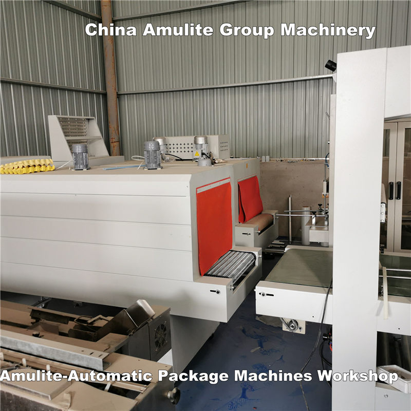 Famous Automatic Package Machines Workshop Factory, Company