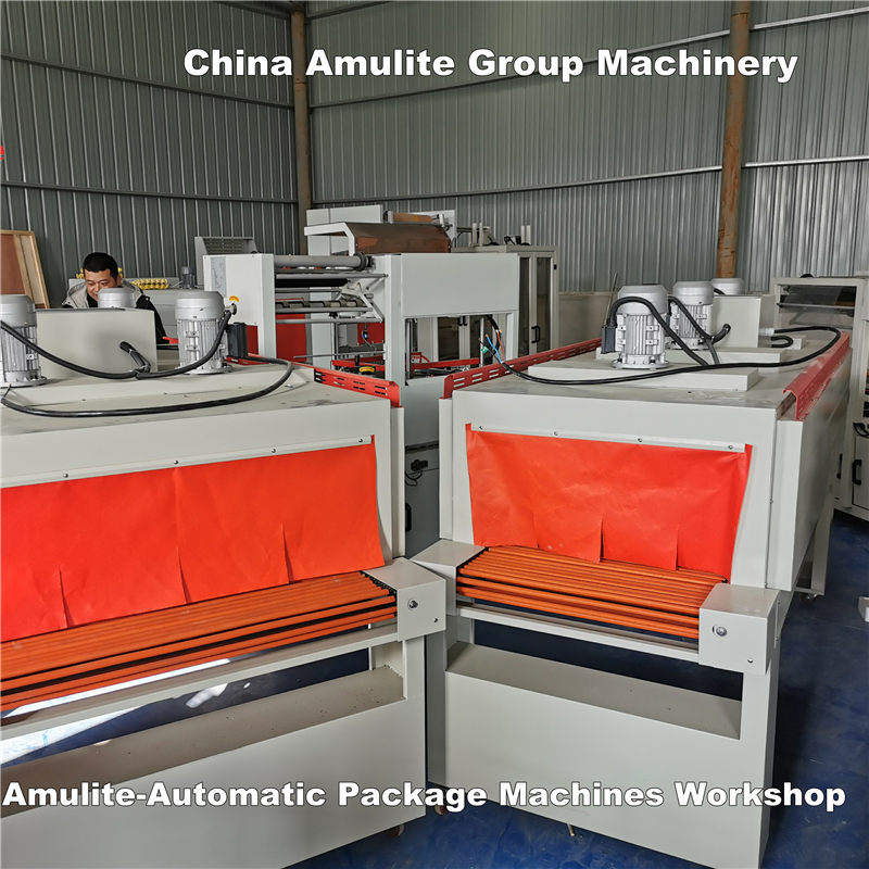 Famous Automatic Package Machines Workshop Factory, Company