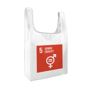 Foldable Backpack