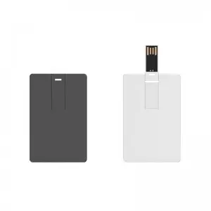 Electronic USB