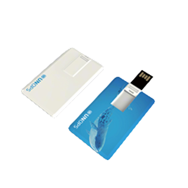 Wholesale Custom Logo Souvenir Gift Blank USB Stick Plastic Credit Card Flash Disk 16GB 32GB 64GB 128GB Supplier, Suppliers