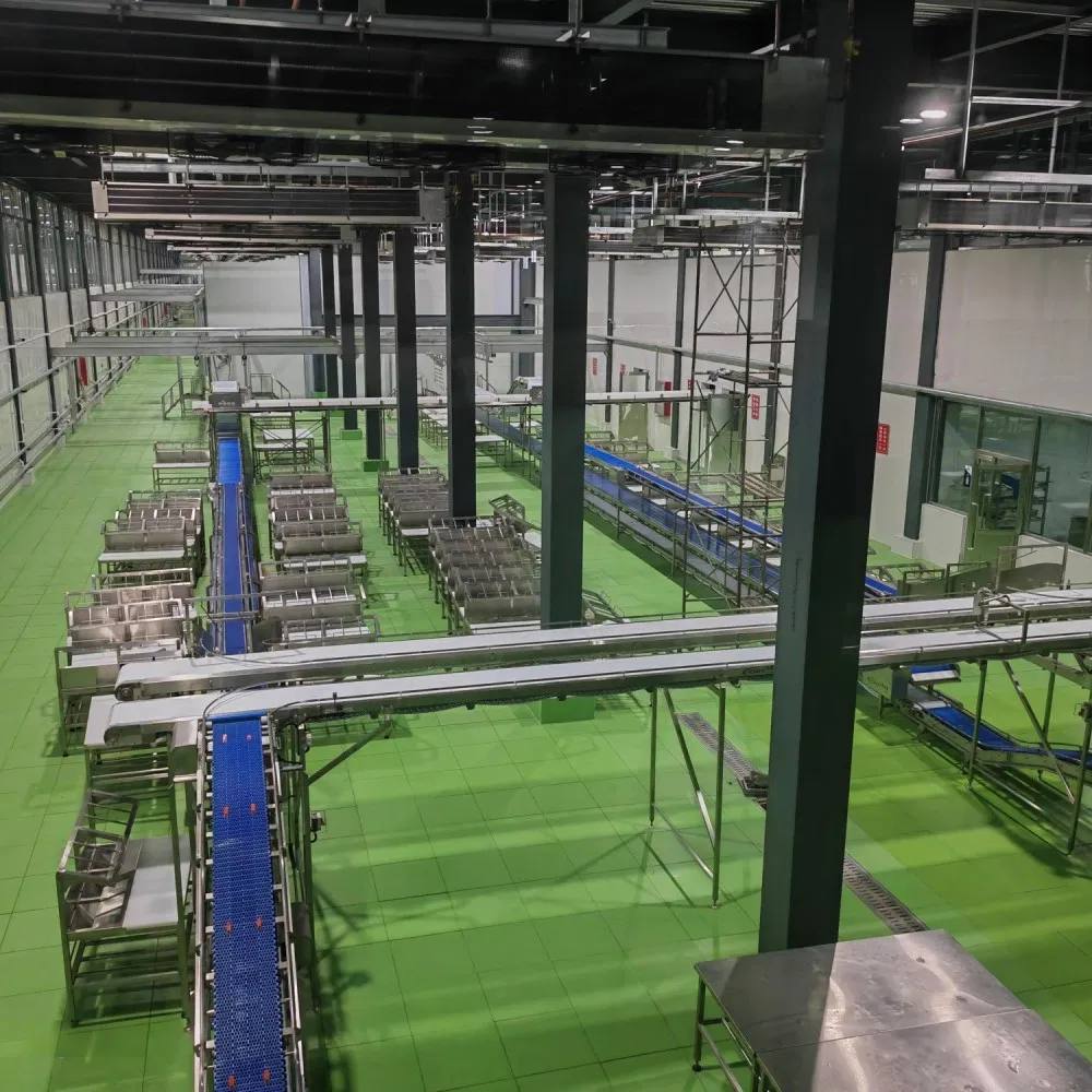 Automatic Factory Production Transport Equipment Material Handling Solution Industrial Belt Conveyor System