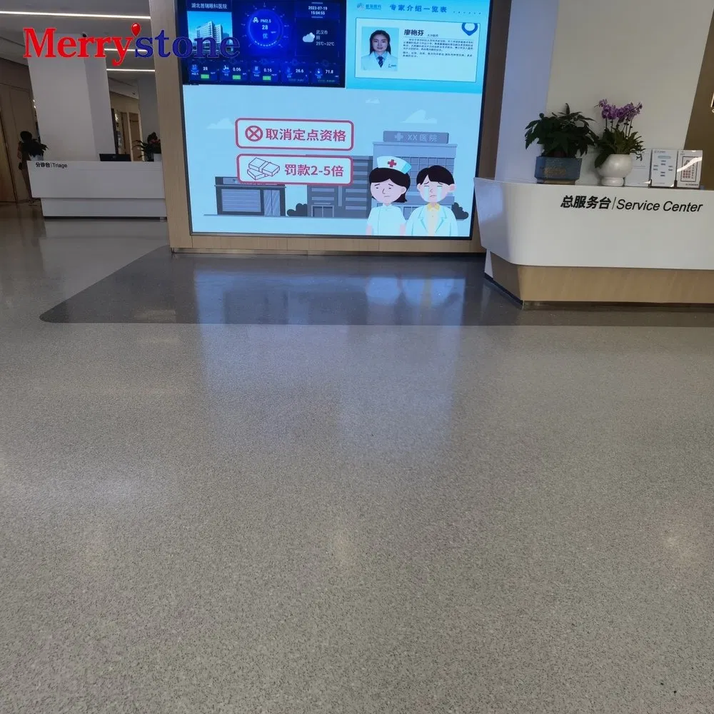 Decorativeepoxy Polished Terrazzo Flooring System Used for Airports and Transport Hubs