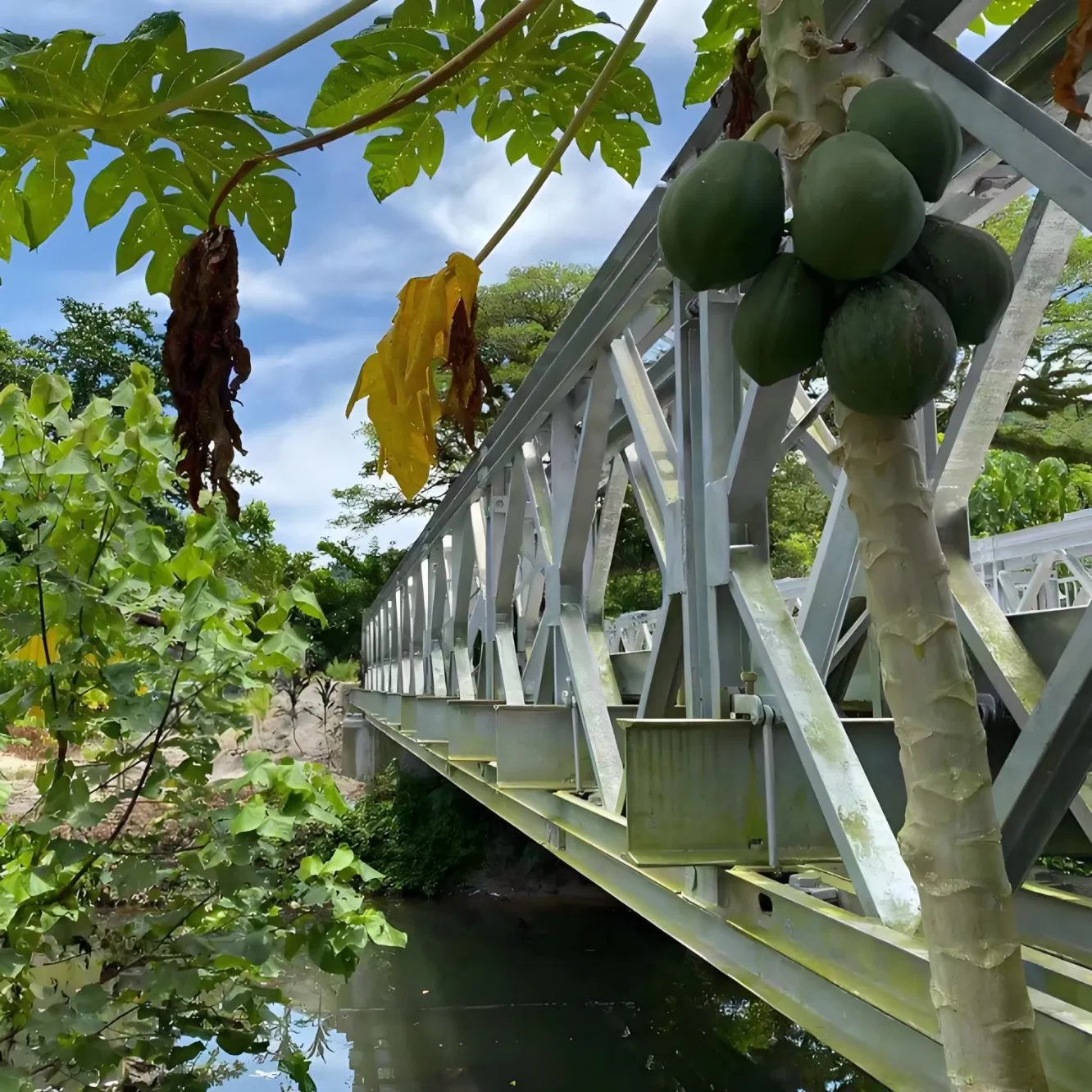 Versatile Multi-Span Solution: Continuous Bailey Bridge System for Wide River Crossings