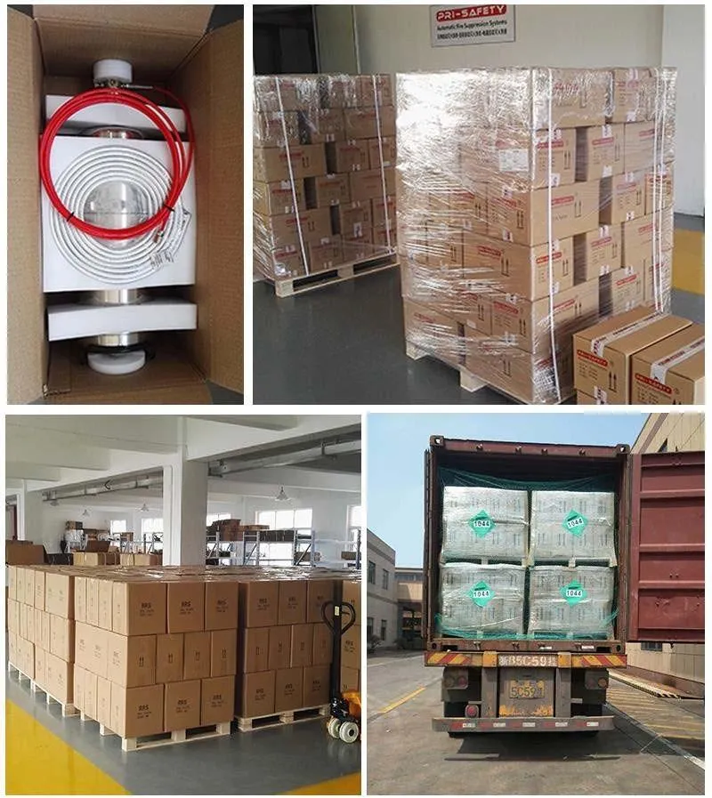 Package and Shipment