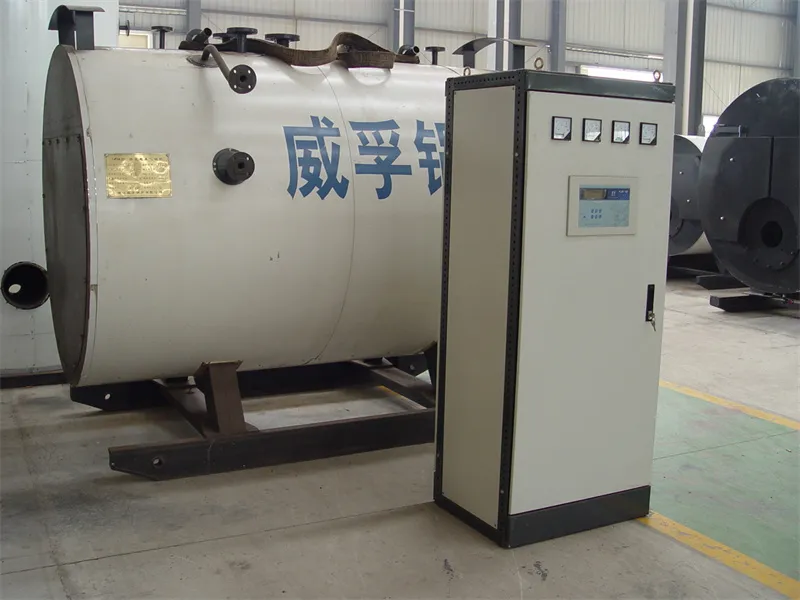 Safety Control System