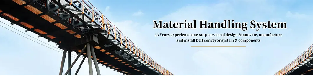 Industrial Belt Conveyor System