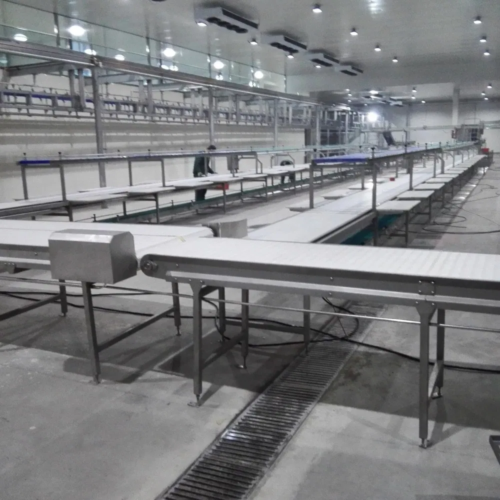 Automatic Factory Production Transport Equipment Material Handling Solution Industrial Belt Conveyor System