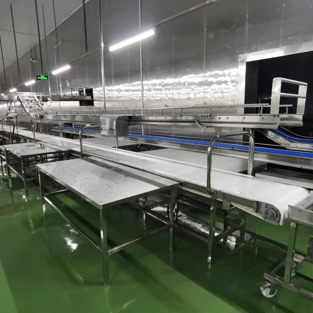 Automatic Factory Production Transport Equipment Material Handling Solution Industrial Belt Conveyor System